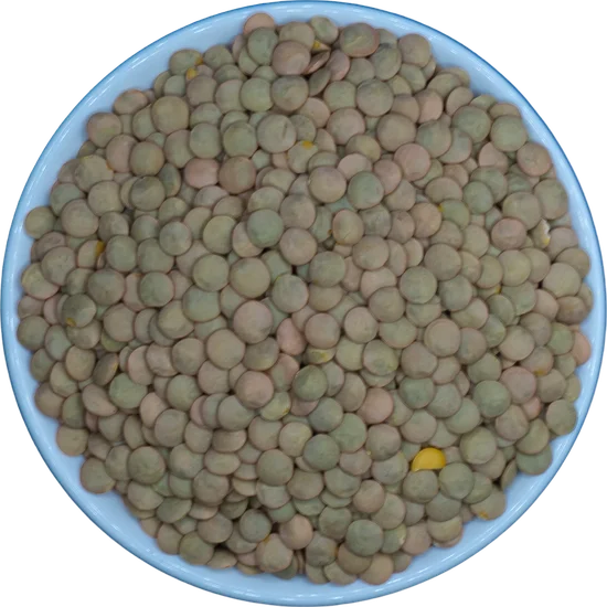 Laird green lentils