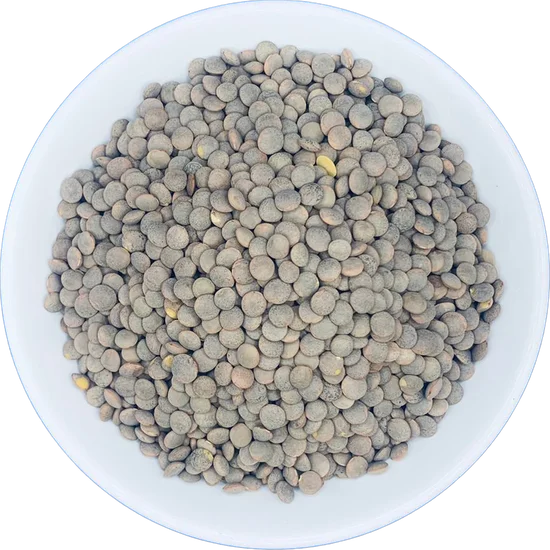 Spanish brown lentils
