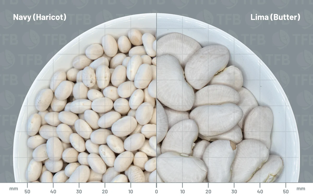 Navy beans in a bowl side by side with lima beans