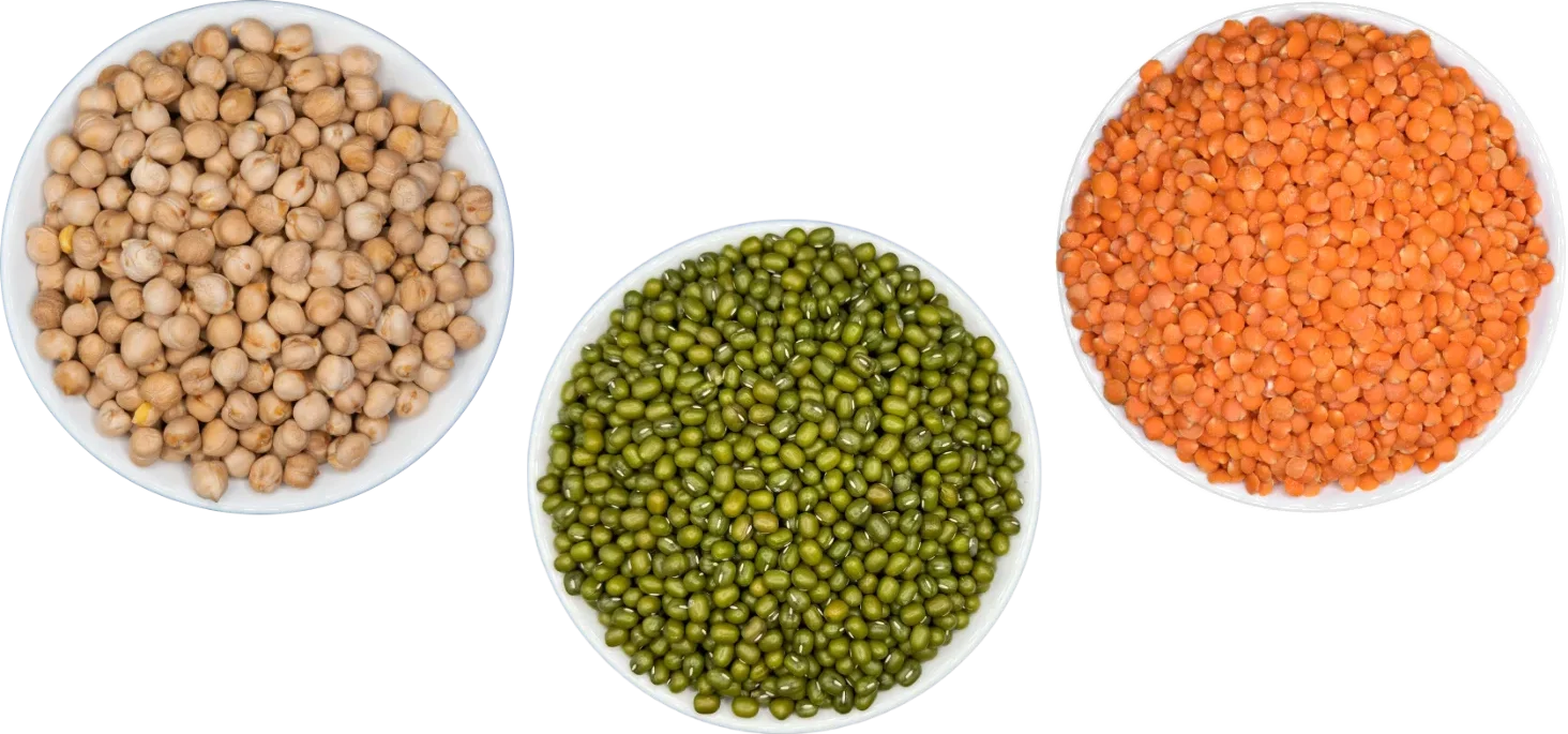 Chickpeas, mung beans and red lentils in bowls