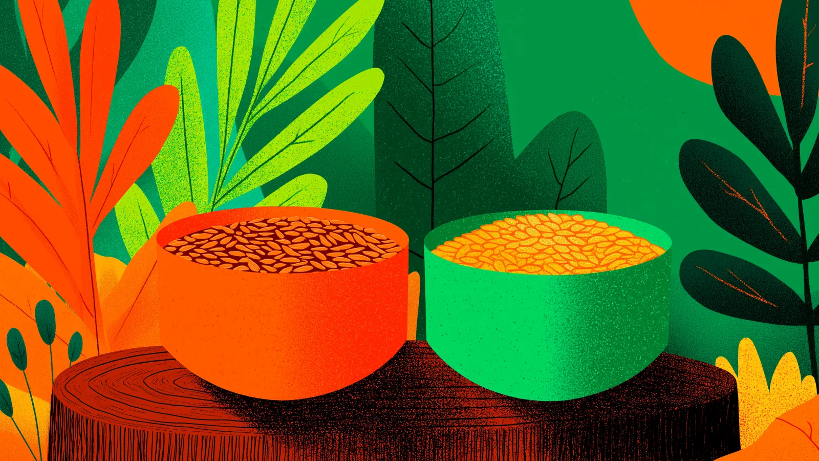 Illustration of brown flaxseed vs golden linseed in bowls