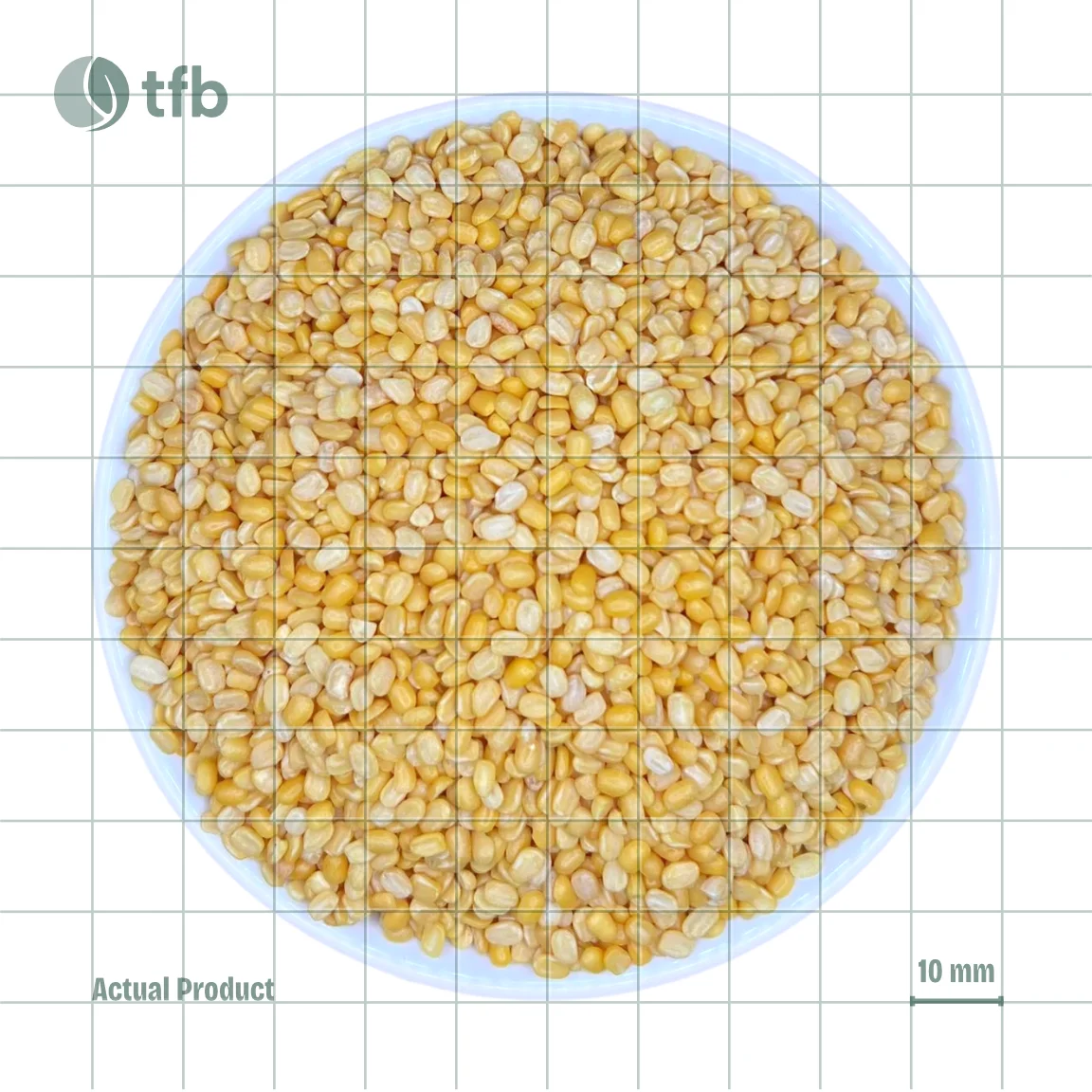 Mung Dal in a white bowl with measuring grid