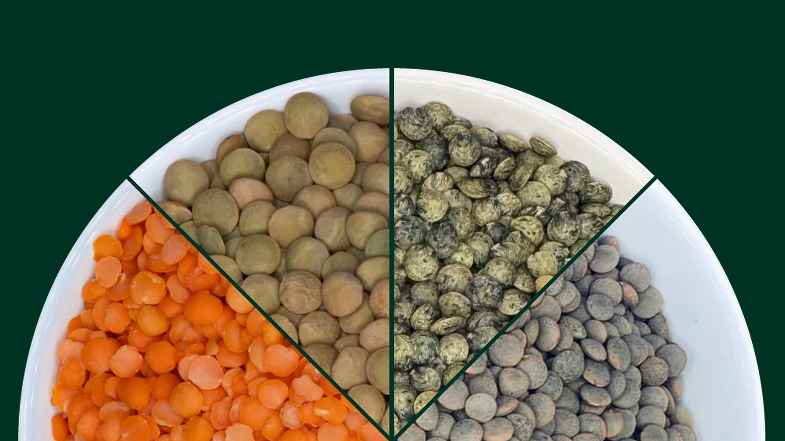 Four types of lentils in a wheel design
